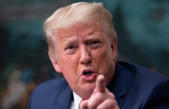 Donald Trump planning return to Twitter ahead of next presidential bid