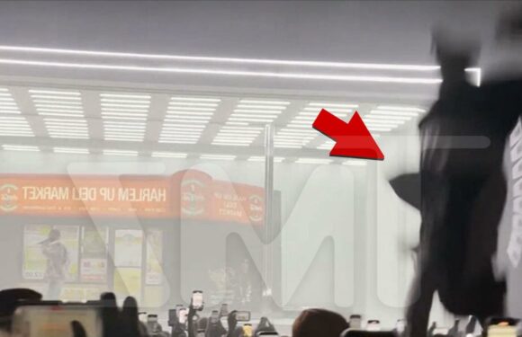 Drake Fan Falls From Balcony During Apollo Concert, Videos Show