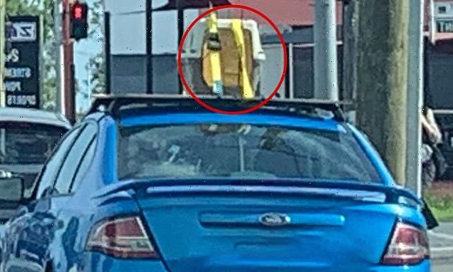 Driver slammed after cat carrier is spotted strapped to a car's roof
