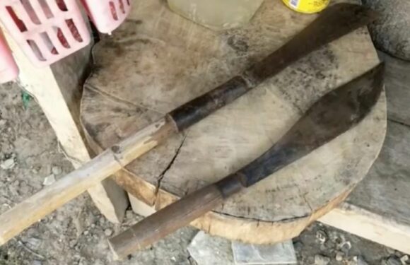 Drunk bloke breaks into school and stabs 9-year-old boy in the head with machete