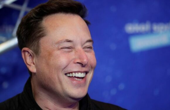 Elon Musk mocks ‘woodcock’ tweets as bird charity locked out of Twitter account