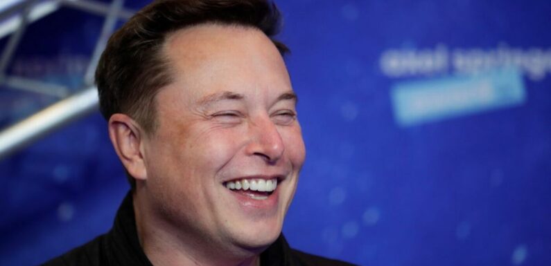 Elon Musk mocks ‘woodcock’ tweets as bird charity locked out of Twitter account