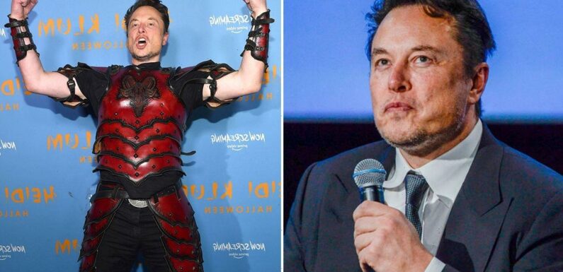 Elon Musk wins Guinness World Record for ‘biggest loser ever’ by losing fortune
