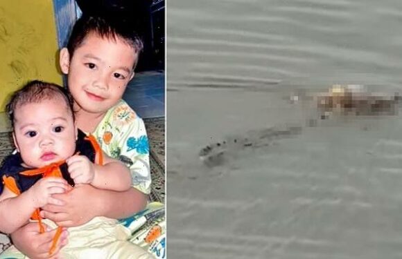 Extraordinary moment crocodile carries body of a boy, 4, down a river