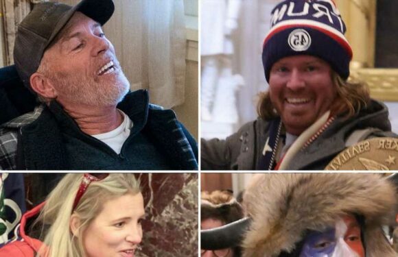 FBI on the Hunt for D.C. Rioters, Capitol Police Talks Response