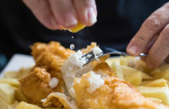 Fish and chip horror as threatened shark meat found in British classic