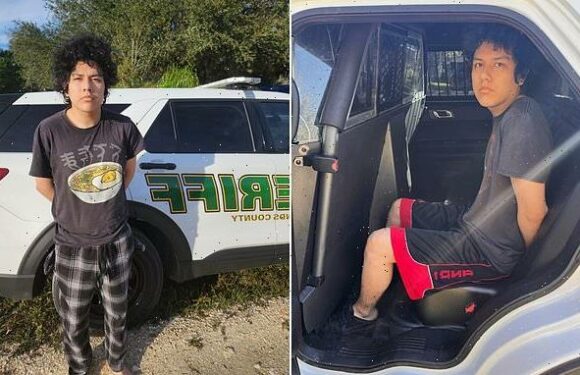 Florida man, 23, arrested and charged with 1,182 child porn charges