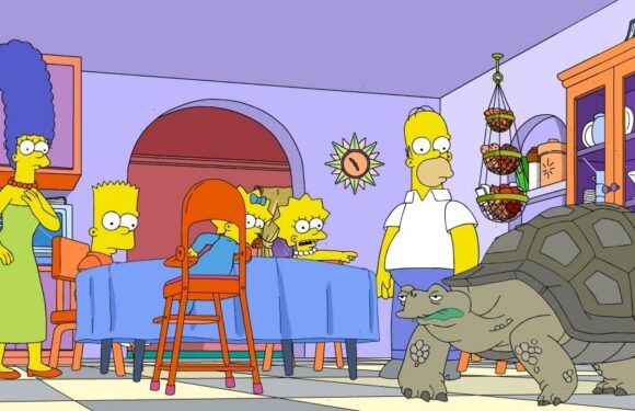 Fox Renews Hulu Streaming Deal for In-Season Episodes