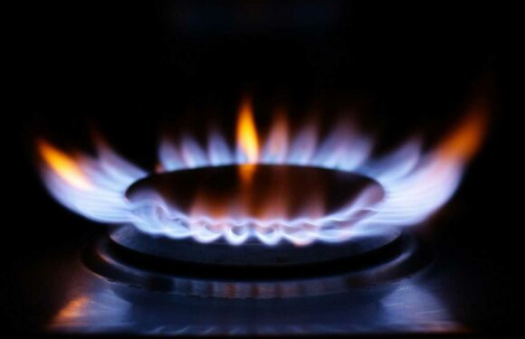 Full list of major energy suppliers paying you to turn off appliances tonight – can you make extra cash? | The Sun