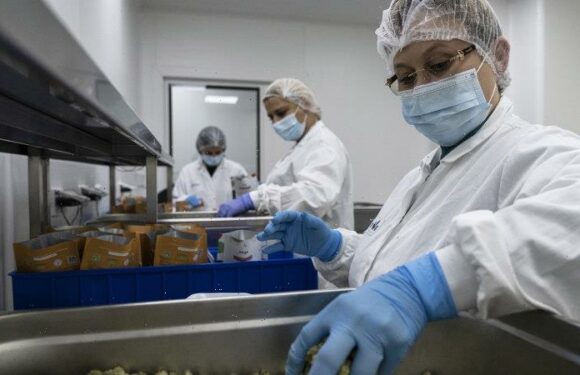 Genes, weed and long COVID: Four predictions about the year in science