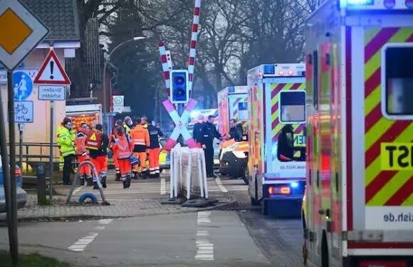 German train mass stabbing as two people are killed and five injured in frenzied knife attack | The Sun