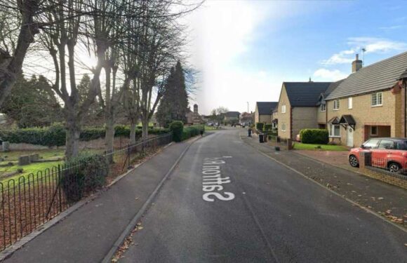 Girl bitten by dog as she played in playground after beast bounded over to attack – grabbing her arm and foot | The Sun