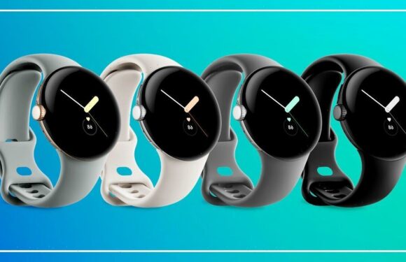 Google Pixel Watch review: Superb watch stifled by bad battery