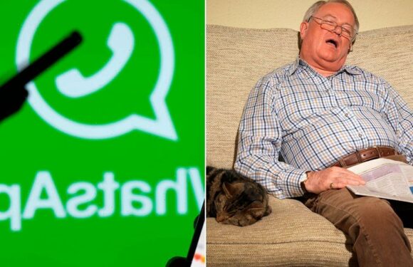 Hackers can hijack your WhatsApp when you’re sleeping – and steal your identity