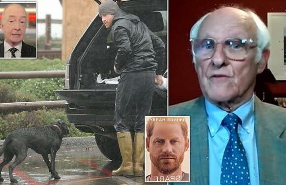 Harry's 'spiteful' attacks on royals in 'one-sided' memoir: experts