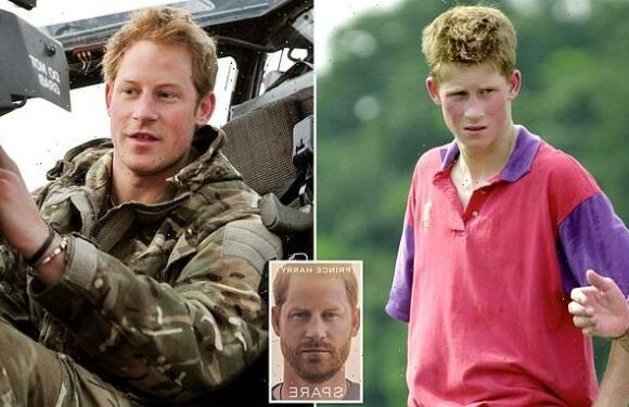 Harry's confessions 'could be dire for Meghan's political hopes'