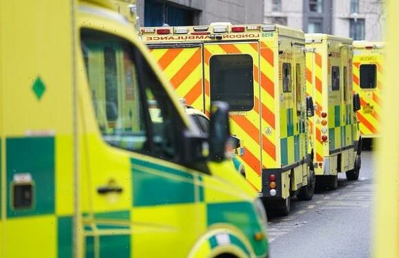 Health unions demand 5% pay rises as hopes rise of end to NHS strikes