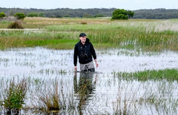 Here’s where record-breaking floods have helped the environment