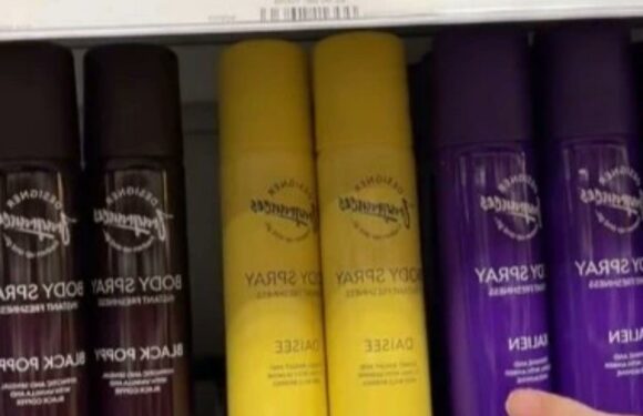 Home Bargains shoppers are scrambling to get their hands on 99p body sprays that are the dupe of pricey perfumes | The Sun