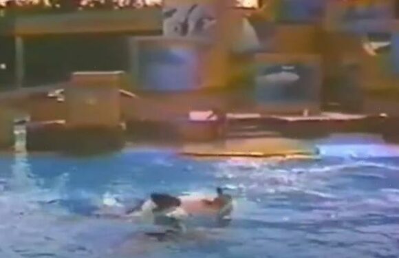 Horror of SeaWorld’s most violent orca Kandu 5 who attacked FIVE trainers – snapping one’s neck & trying to drown second | The Sun