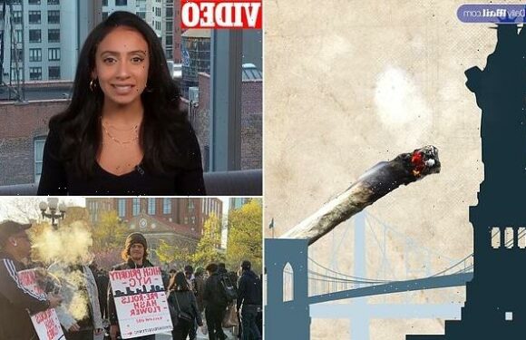 How America surrendered to marijuana: KAYLA BRANTLEY explains