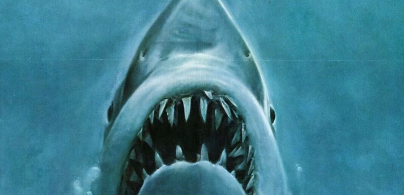 How Jaws made the seas unsafe… for sharks!
