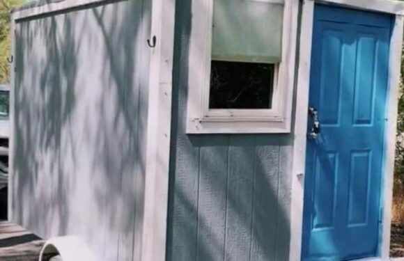 I bought my tiny home for just £1.2k – there’s no shower or loo and people say it’s depressing but I love it | The Sun