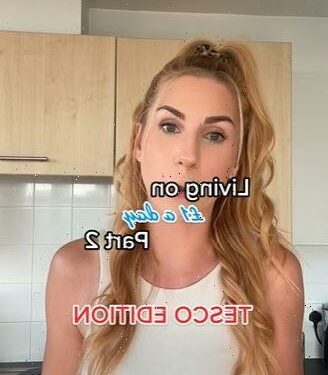 I can live on a daily budget of just £1 per day by shopping at Tesco – here's how | The Sun