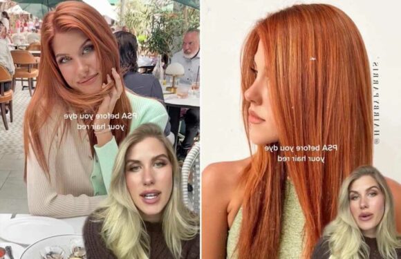 I dyed my hair red it was a nightmare – it took two years to look like myself again so here's what I wish I knew | The Sun