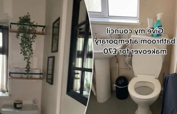 I gave my drab council house bathroom an upgrade with cheap bits from Wilko & B&M and I swear by a FREE wallpaper hack | The Sun