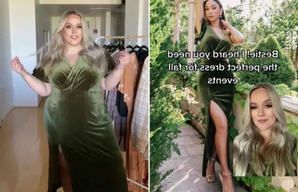 I have big boobs – I just found the perfect dress for Fall but people want to know what the back looks like | The Sun