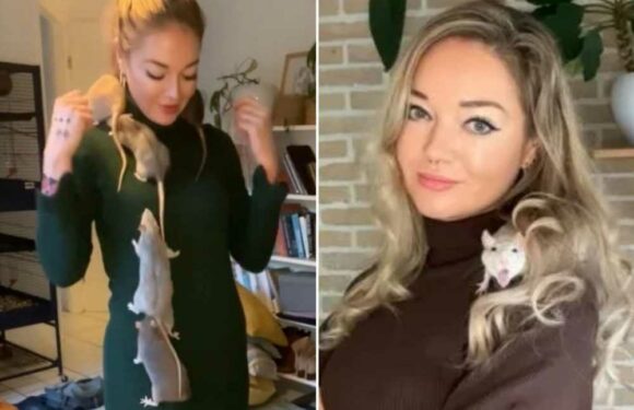 I live with seven pet RATS and let them climb all over me – people think it's gross but I don't care | The Sun