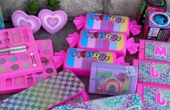 I rummaged in bins outside Claire’s & was stunned at what I got…the jewellery was insane & the make-up was even better | The Sun