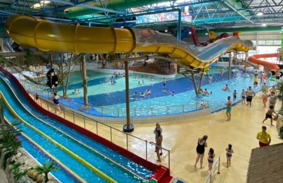 I run ‘UK’s no1 indoor tropical theme park’ families complain but the customer is NOT always right | The Sun