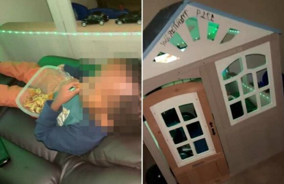 I transformed my son’s playhouse into his own kid cave – it's got a TV and even a mini fridge, he's living the dream | The Sun