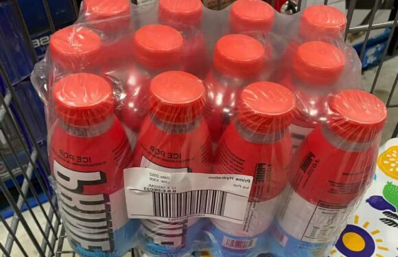 I was thrilled to get my hands on a case of viral Prime energy drinks from Costco – trolls call me sad but I don't care | The Sun