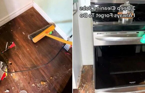 I’m a cleaning fan and there’s three places in your home you’re forgetting to scrub – you’re bound to be repulsed | The Sun