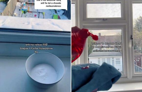 I’m a cleaning whizz – how to minimise condensation and prevent mould in just two steps & mega cheap | The Sun