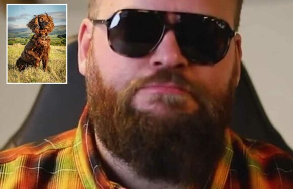 I’m a dog expert and here are the worst behaved dogs I’ve had to work with – people are stunned by my first choice | The Sun