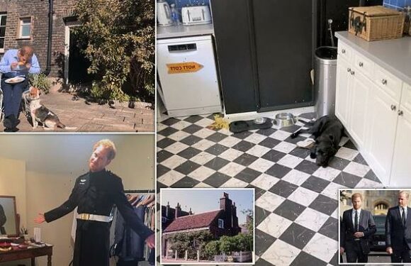 Inside home where Harry 'claims William knocked him onto dog bowl'