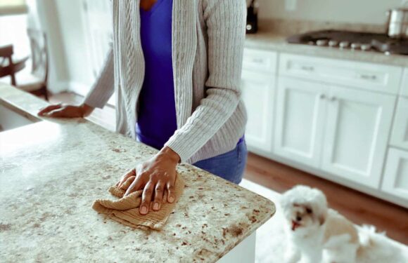 I'm a cleaning pro – the cheap hacks you need to keep your house spotless & why anti-bac spray is a total rip off | The Sun