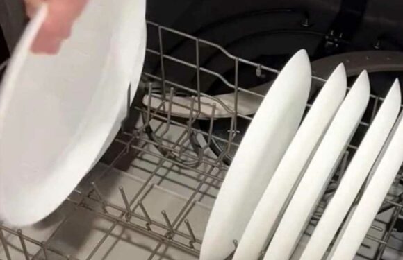 I'm a cleaning whizz & you've been stacking your dishwasher all wrong – the right way makes it work loads better | The Sun