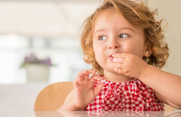 I'm a dietitian – here's the five things I would never tell my child | The Sun