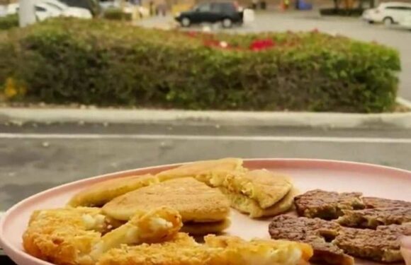 I'm a single mum & live in a van with my toddler – we wake up in shop car parks, it’s an easy way to start the day | The Sun