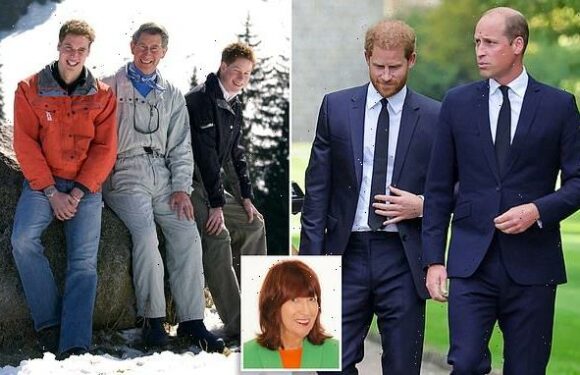 JANET STREET-PORTER: Beware the rage of a big brother (or sister)