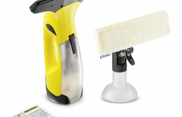Karcher Window Vac review UK 2023 | The Sun