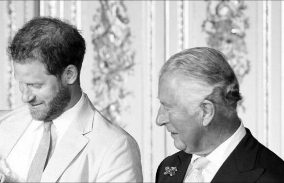 King Charles Joked James Hewitt Was Harrys Real Father Amid Rumor the Prince Was Not His Son