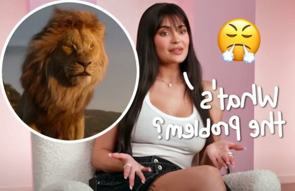 Kylie Jenner Dragged For 'Disturbing' Lion Head Dress – But PETA Approves?!