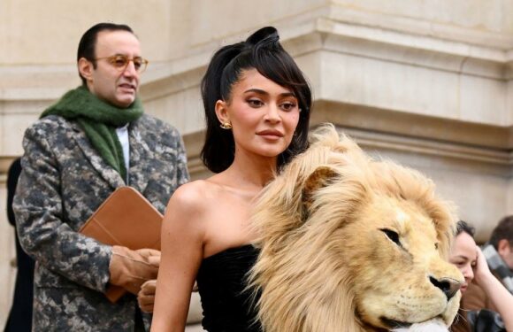 Kylie Jenner baffles onlookers as she dons life size lion head on slinky dress