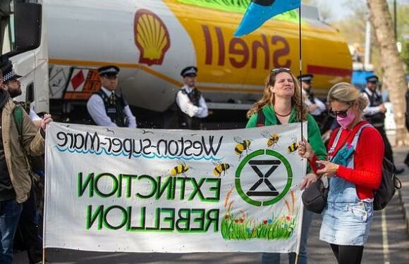 LEO MCKINSTRY: Eco zealots are turning firms into cultural pariahs